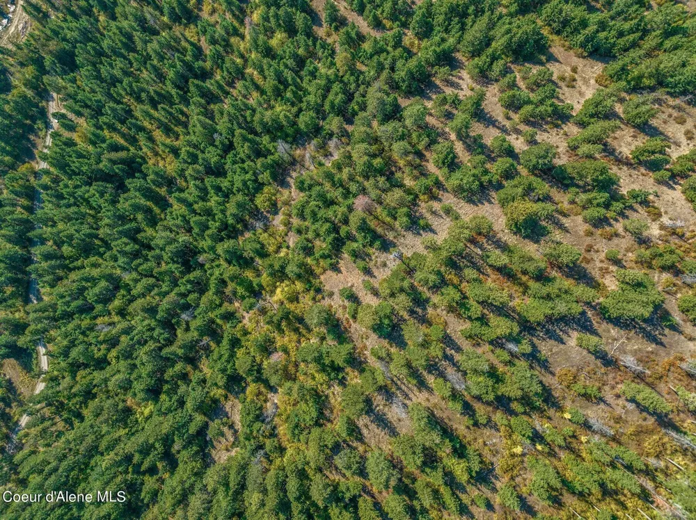 NKA Silver Creek Road Clark Fork, ID 83811