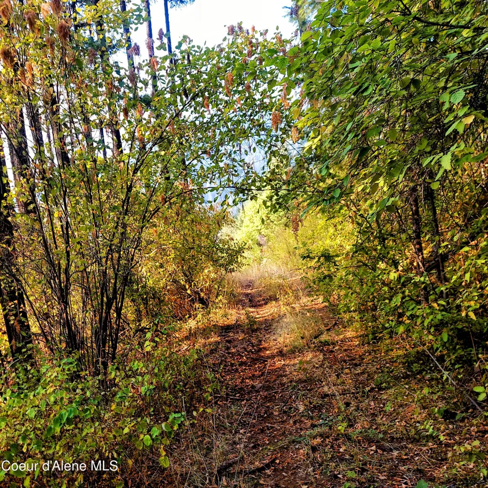 NKA Silver Creek Road Clark Fork, ID 83811