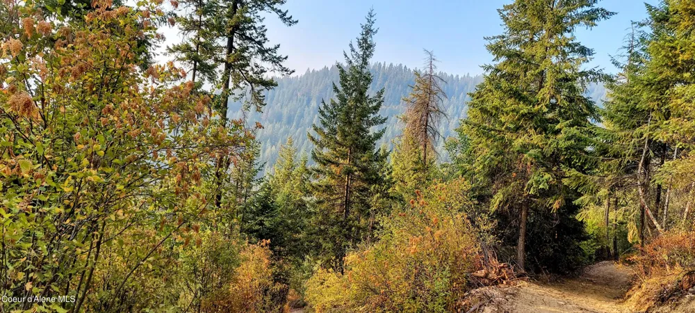 NKA Silver Creek Road Clark Fork, ID 83811