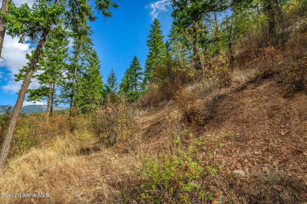 NKA Silver Creek Road Clark Fork, ID 83811