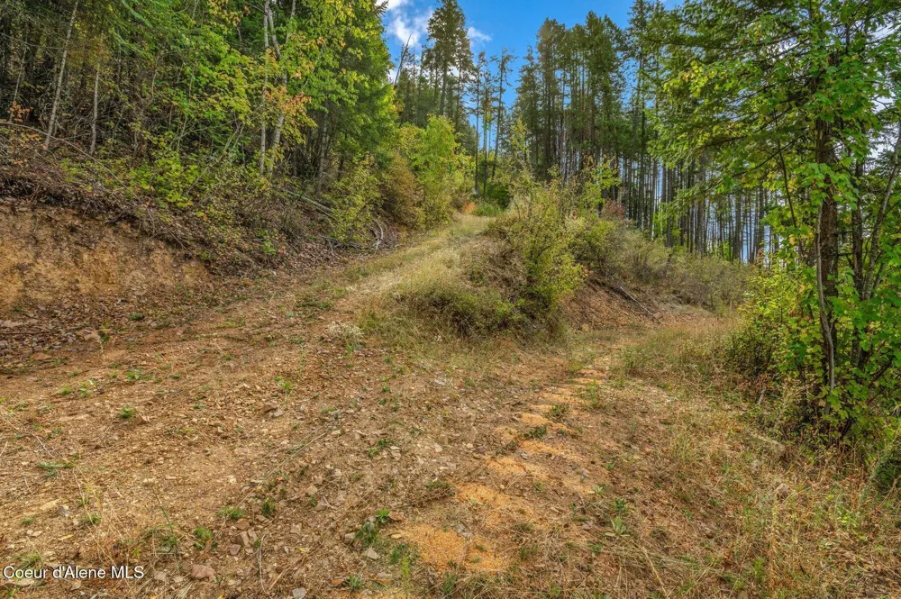 NKA Silver Creek Road Clark Fork, ID 83811