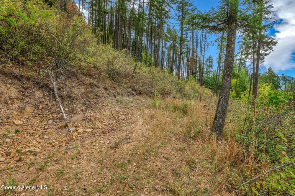 NKA Silver Creek Road Clark Fork, ID 83811