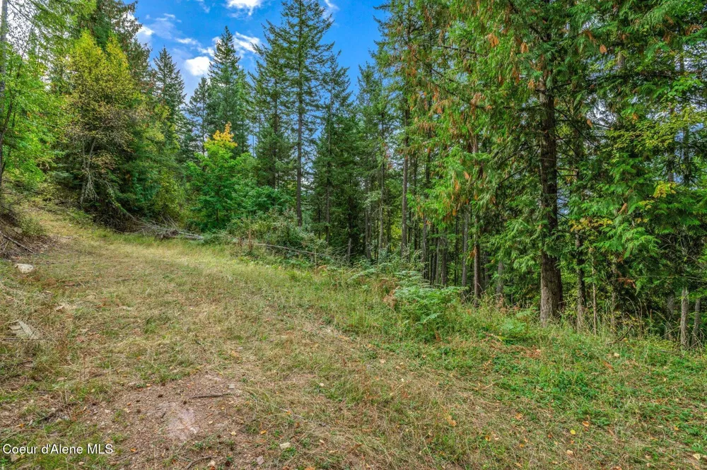 NKA Silver Creek Road Clark Fork, ID 83811