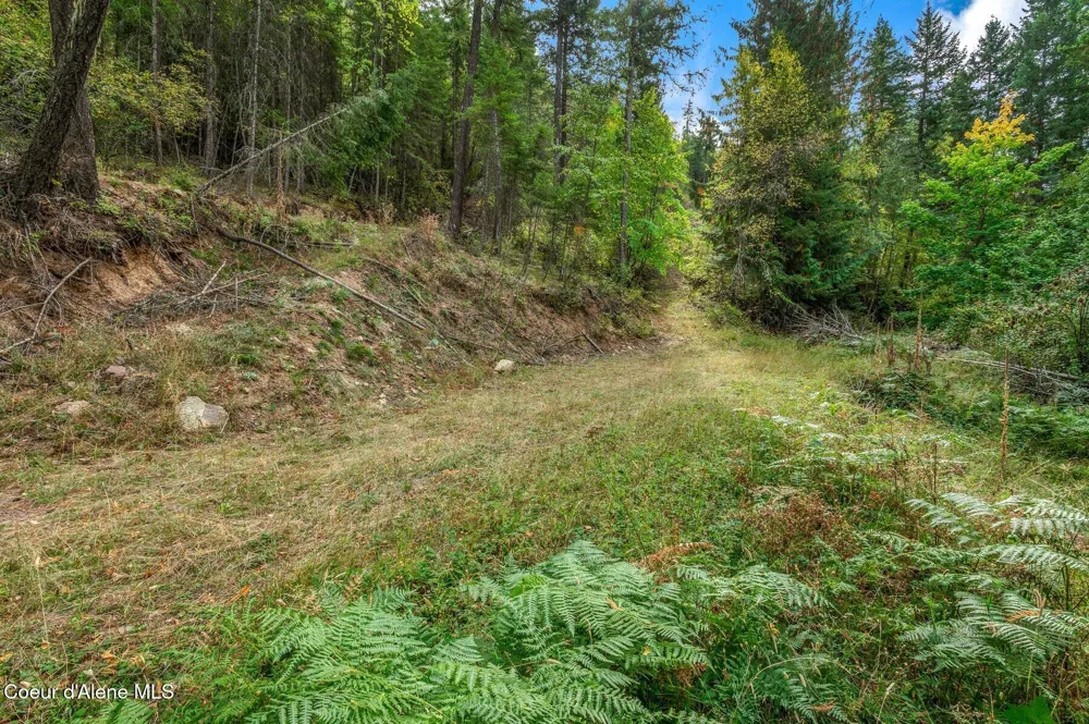 NKA Silver Creek Road Clark Fork, ID 83811