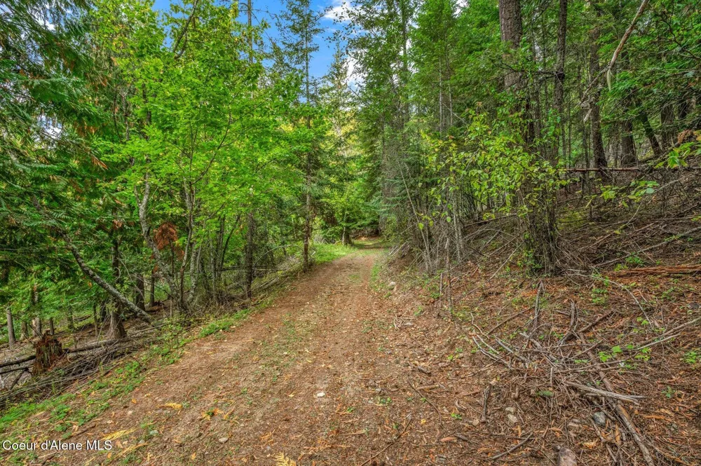 NKA Silver Creek Road Clark Fork, ID 83811