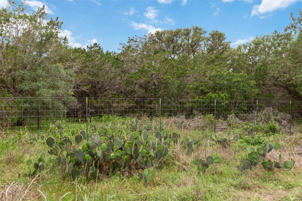 1306 Thousand Oaks Loop San Marcos, TX 78666