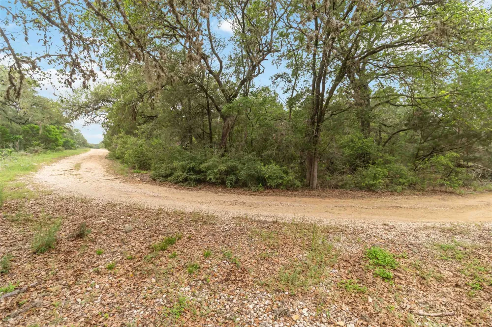 1306 Thousand Oaks Loop San Marcos, TX 78666