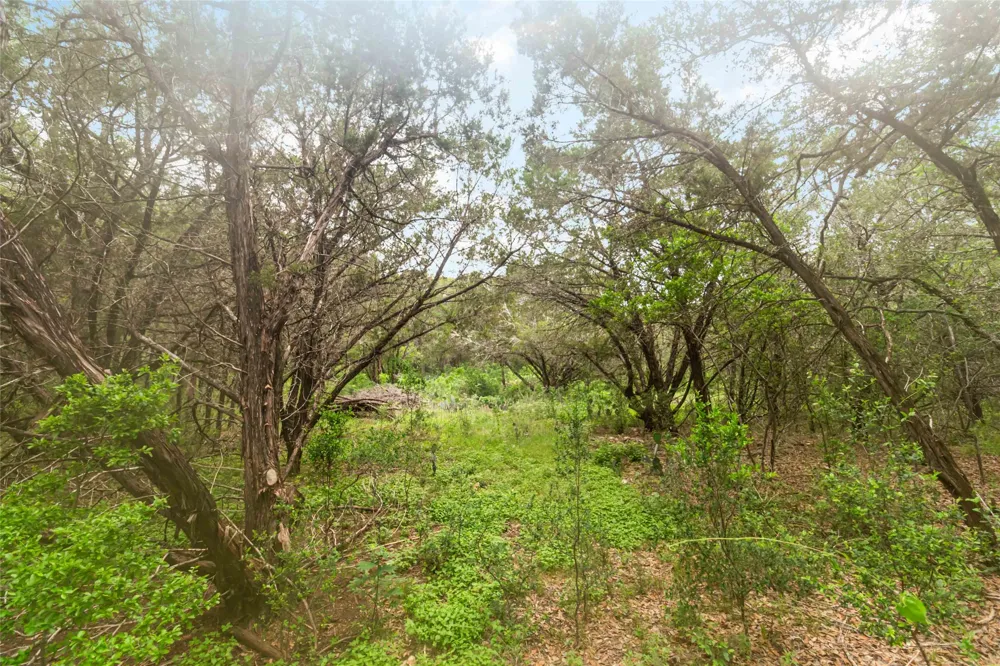 1306 Thousand Oaks Loop San Marcos, TX 78666