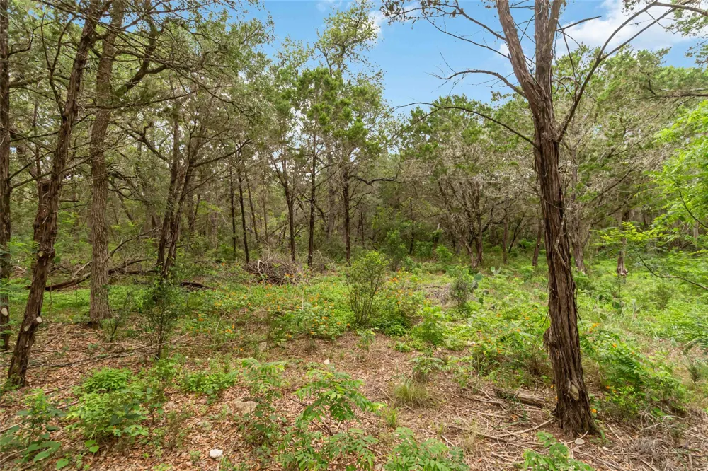 1306 Thousand Oaks Loop San Marcos, TX 78666