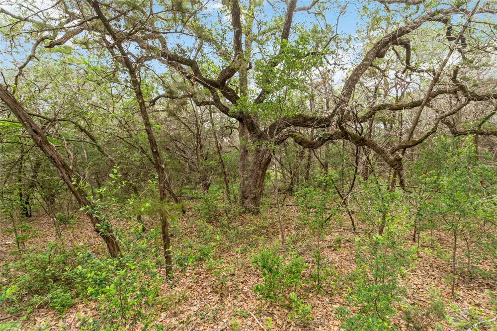 1306 Thousand Oaks Loop San Marcos, TX 78666