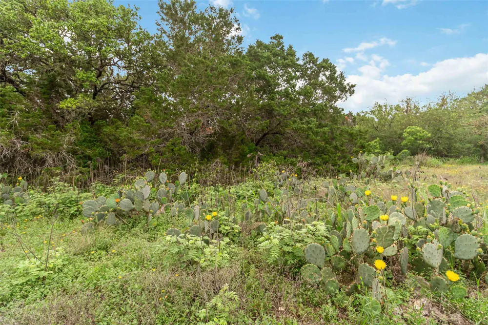 1306 Thousand Oaks Loop San Marcos, TX 78666