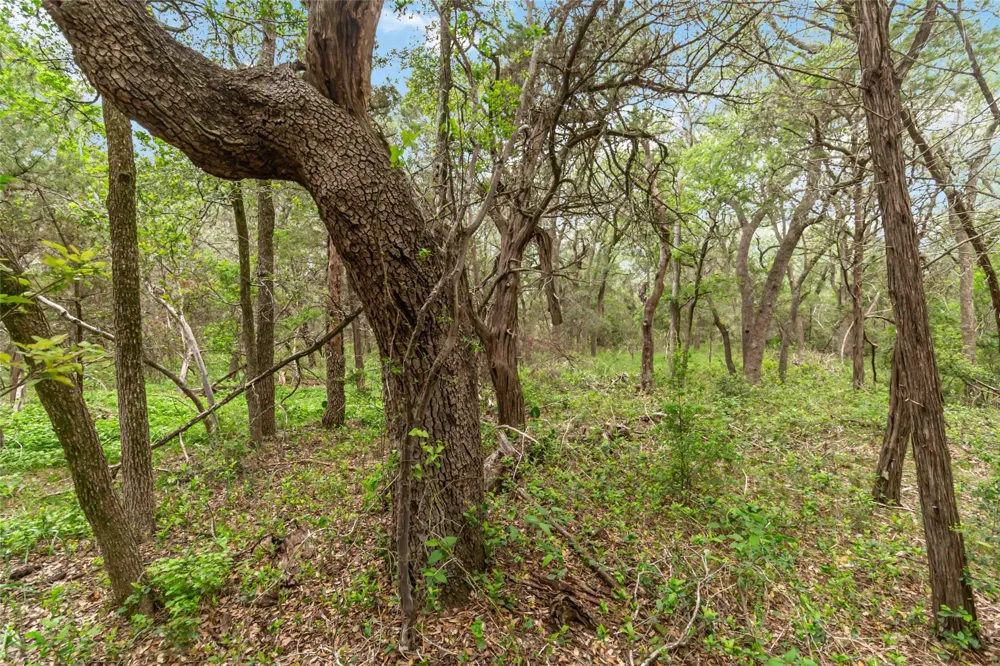 1306 Thousand Oaks Loop San Marcos, TX 78666
