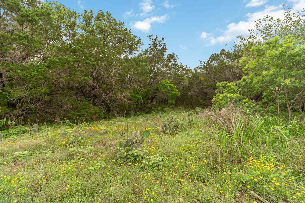 1306 Thousand Oaks Loop San Marcos, TX 78666