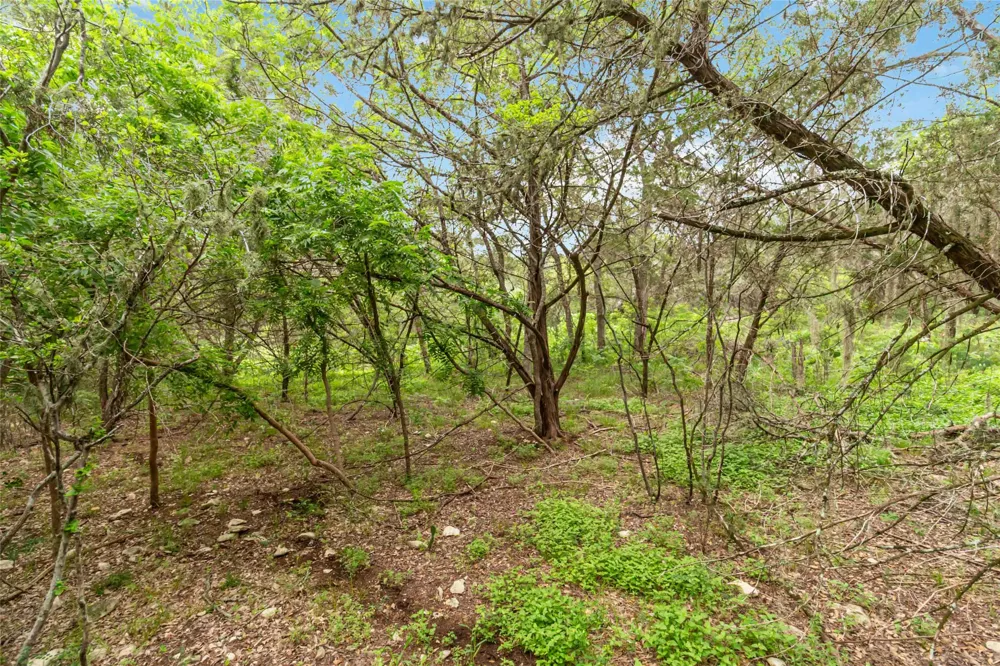 1306 Thousand Oaks Loop San Marcos, TX 78666