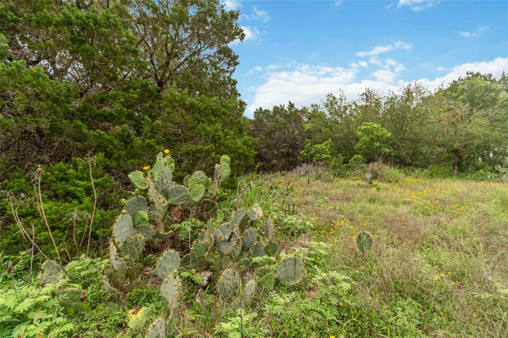 1306 Thousand Oaks Loop San Marcos, TX 78666