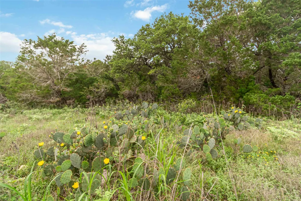 1306 Thousand Oaks Loop San Marcos, TX 78666