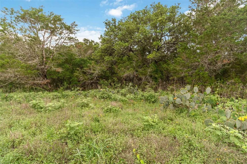1306 Thousand Oaks Loop San Marcos, TX 78666