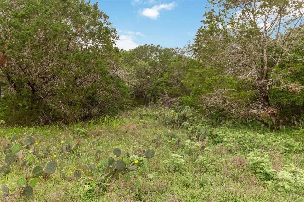 1306 Thousand Oaks Loop San Marcos, TX 78666