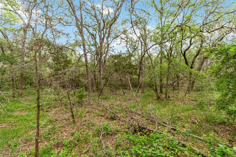 1306 Thousand Oaks Loop San Marcos, TX 78666