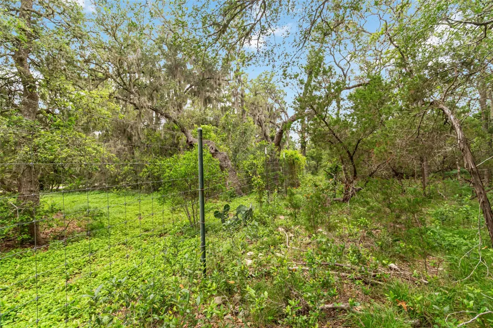 1306 Thousand Oaks Loop San Marcos, TX 78666