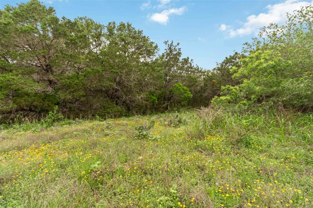 1306 Thousand Oaks Loop San Marcos, TX 78666