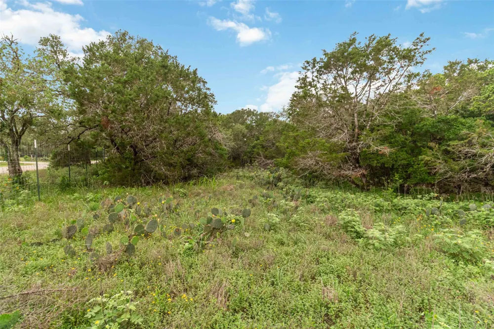 1306 Thousand Oaks Loop San Marcos, TX 78666