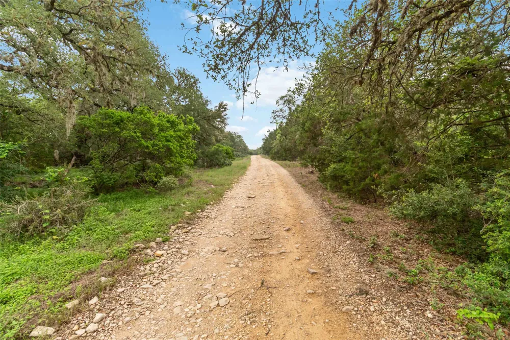1306 Thousand Oaks Loop San Marcos, TX 78666