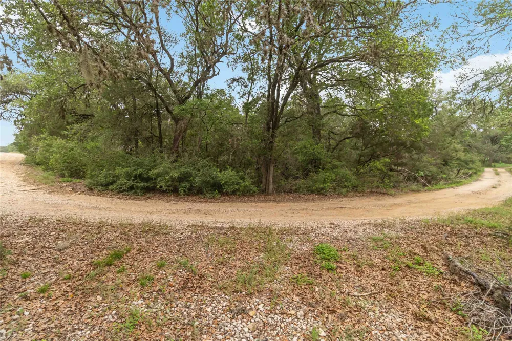 1306 Thousand Oaks Loop San Marcos, TX 78666