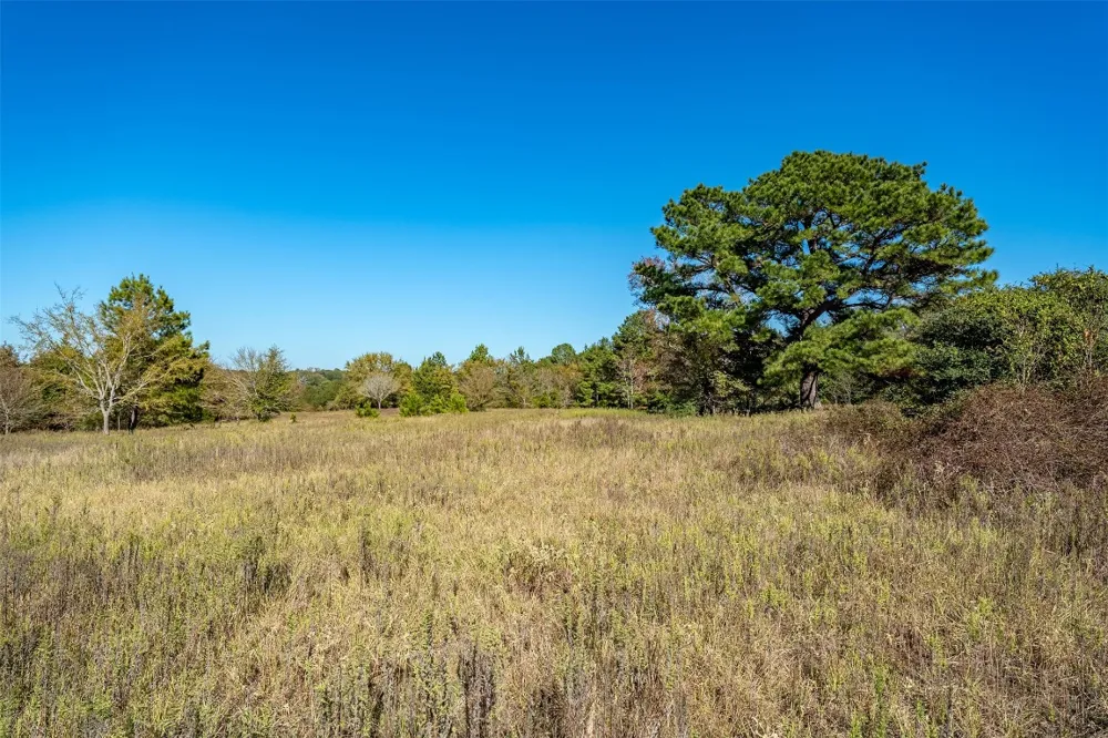 380 An County Road 370 Palestine, TX 75801