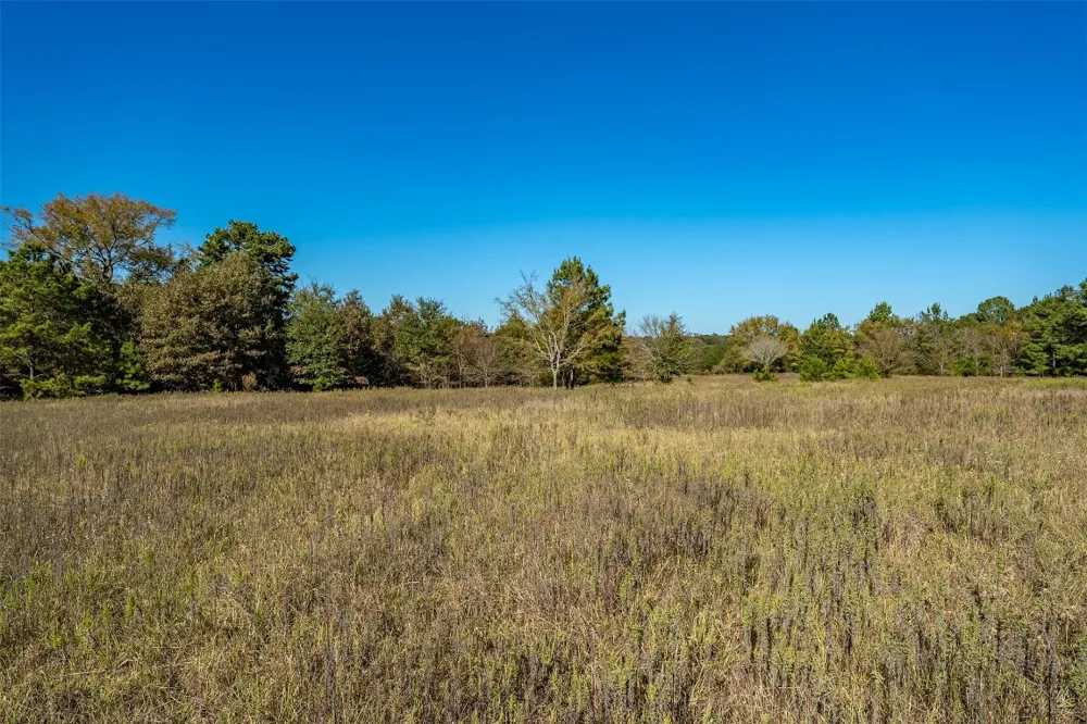 380 An County Road 370 Palestine, TX 75801