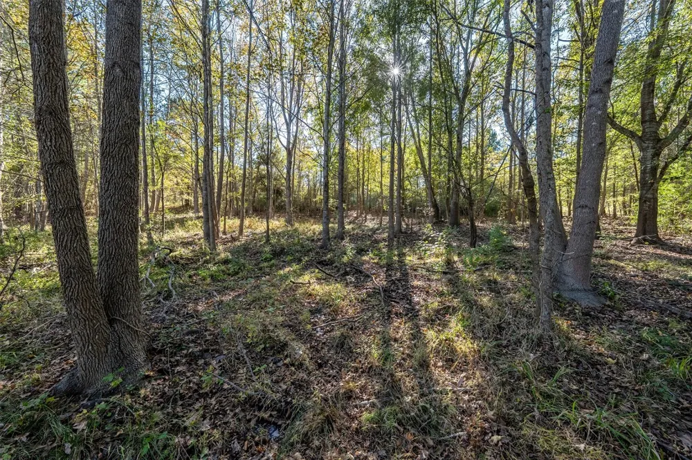 380 An County Road 370 Palestine, TX 75801