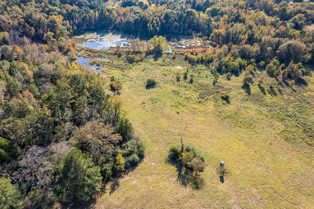 380 An County Road 370 Palestine, TX 75801