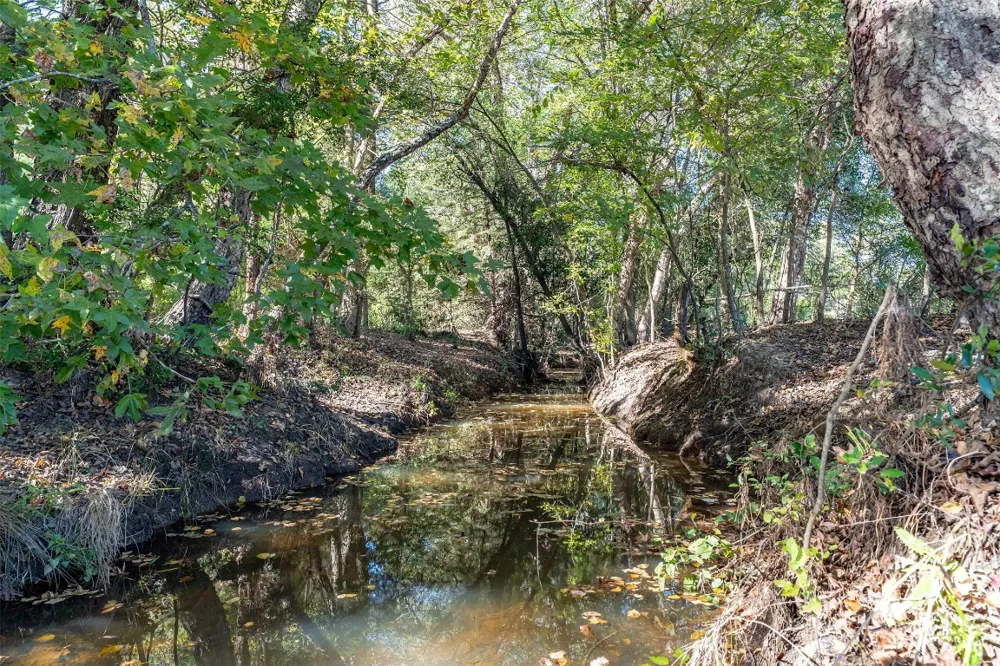 380 An County Road 370 Palestine, TX 75801