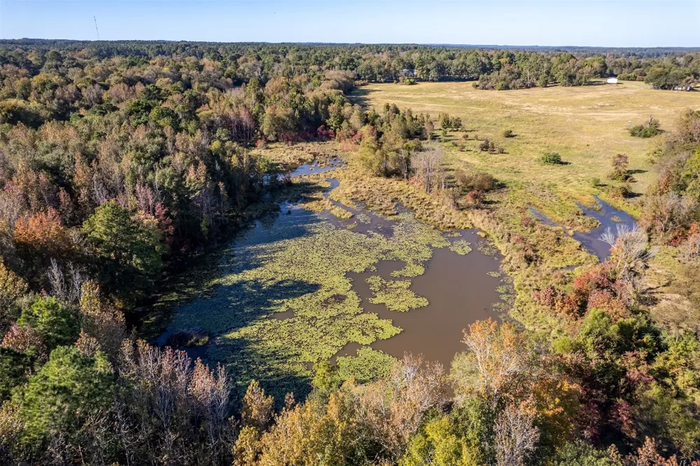 380 An County Road 370 Palestine, TX 75801
