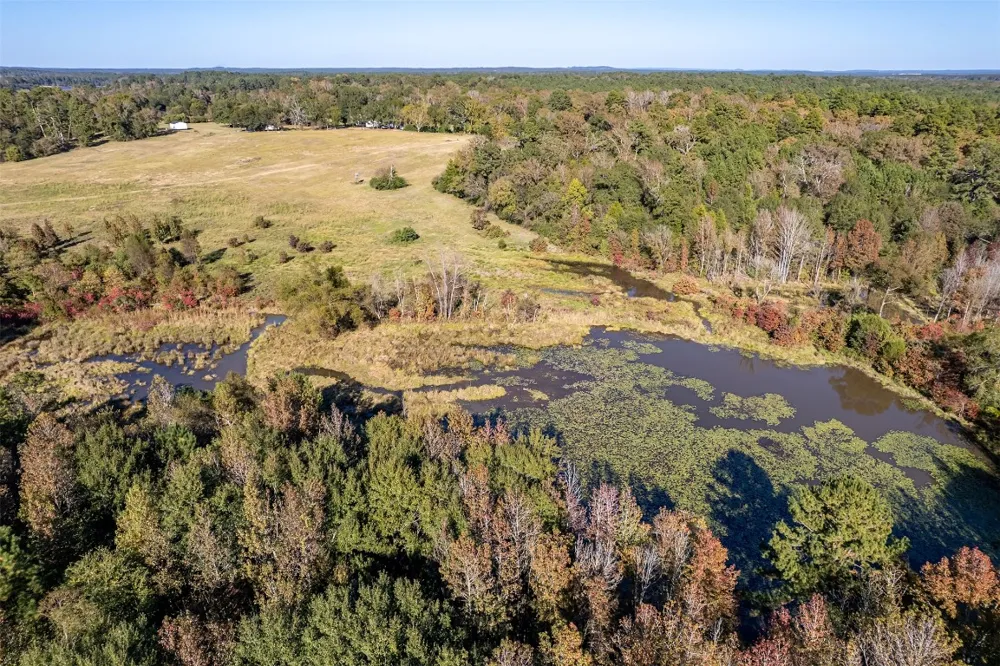 380 An County Road 370 Palestine, TX 75801