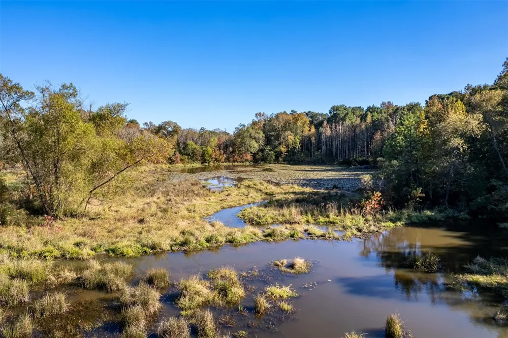 380 An County Road 370 Palestine, TX 75801