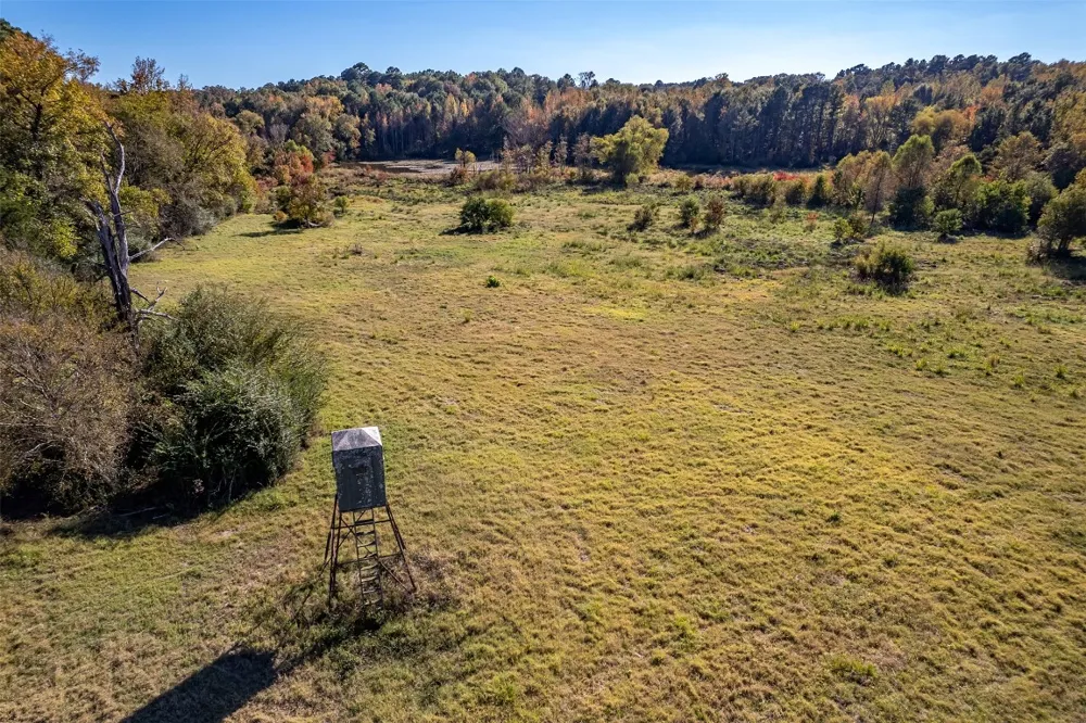 380 An County Road 370 Palestine, TX 75801