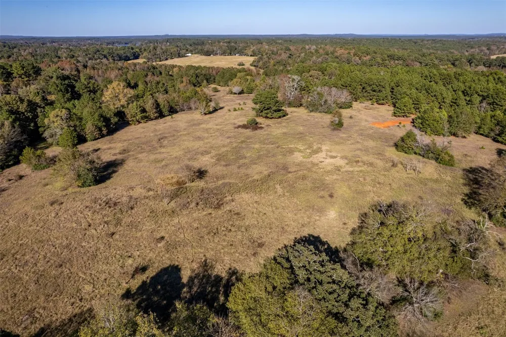 380 An County Road 370 Palestine, TX 75801