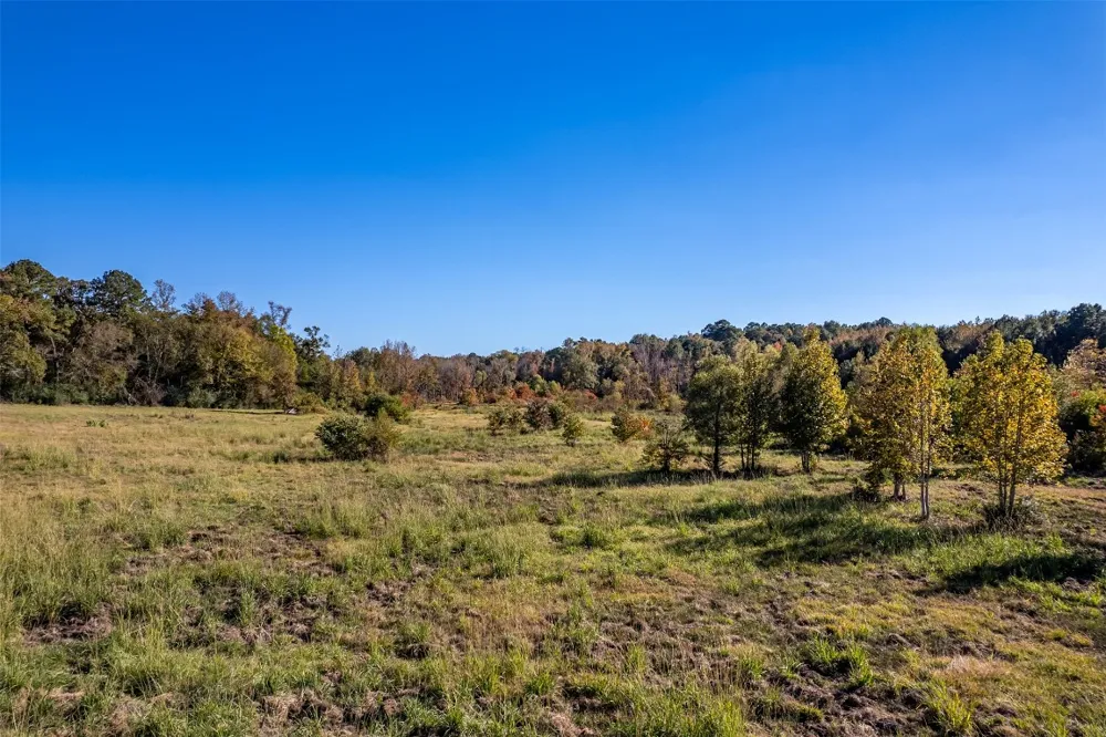380 An County Road 370 Palestine, TX 75801