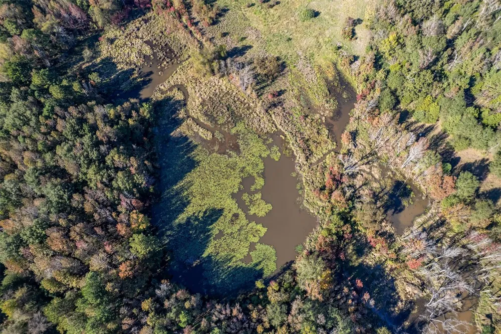 380 An County Road 370 Palestine, TX 75801