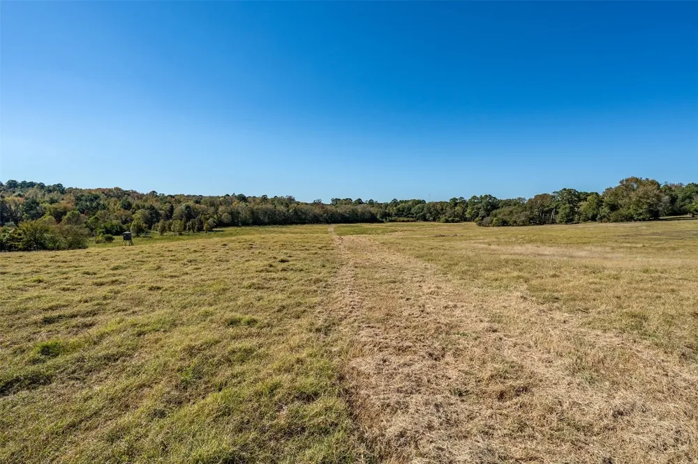 380 An County Road 370 Palestine, TX 75801