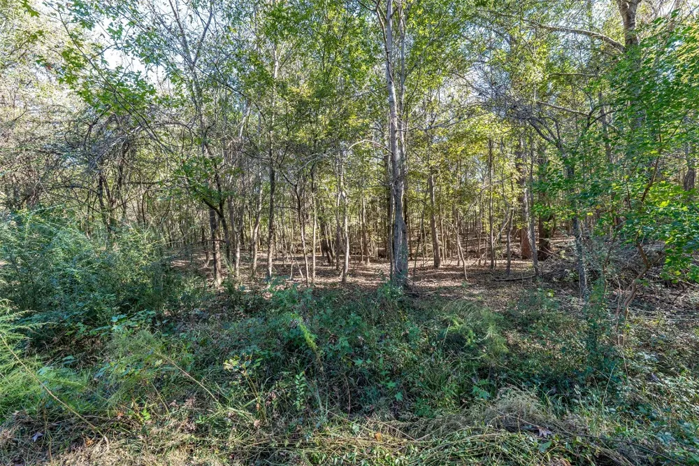 380 An County Road 370 Palestine, TX 75801