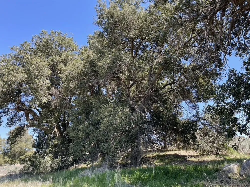 2885 Ribbonwood Rd Boulevard, CA 91905
