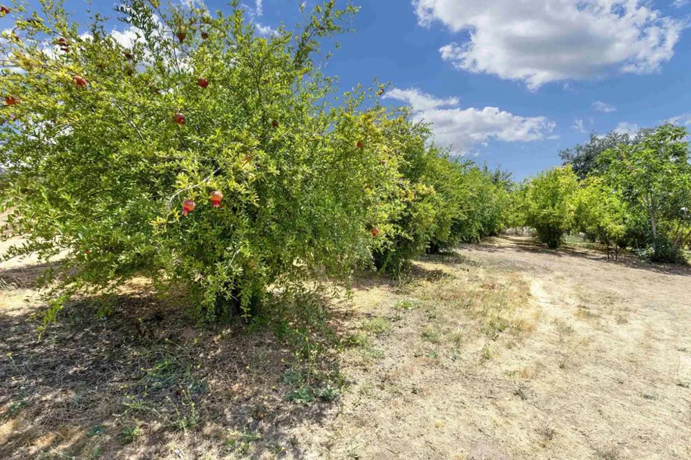 17368 Skyline Truck Trail Jamul, CA 91935