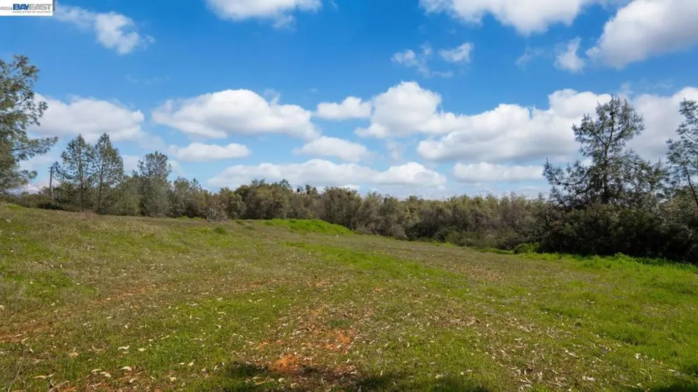 3710 Lakeview Dr Shingle Springs, CA 95682