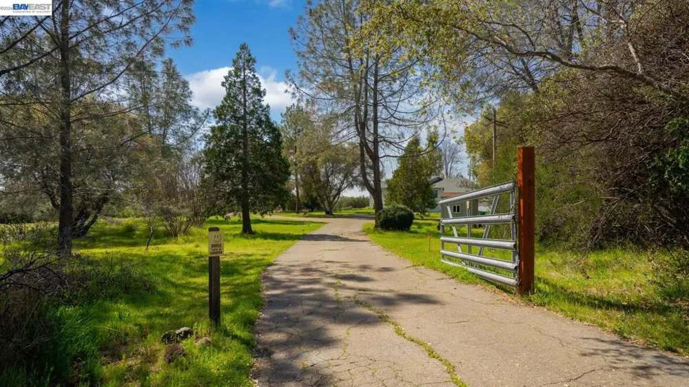 3710 Lakeview Dr Shingle Springs, CA 95682