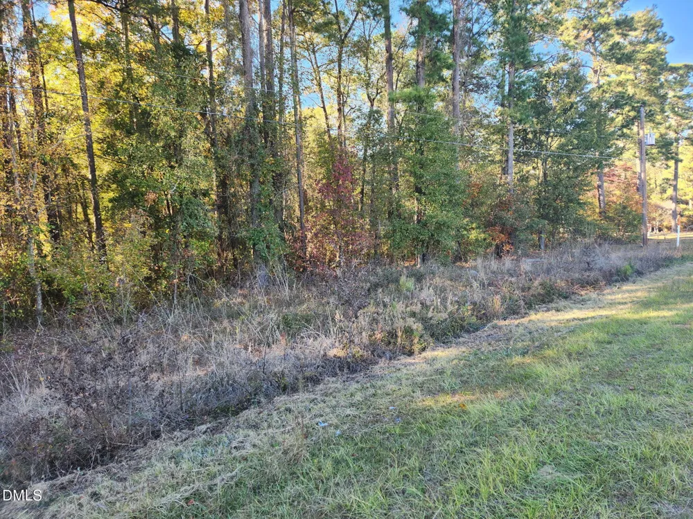 0 Cedar Grove Church Road St. Pauls, NC 28384