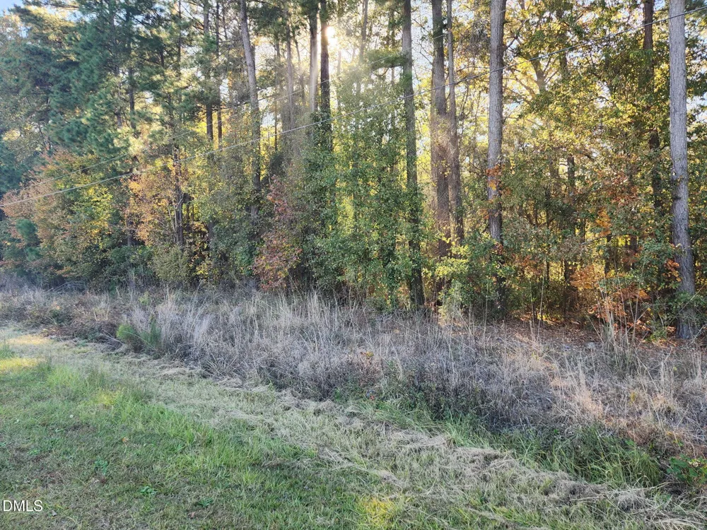 0 Cedar Grove Church Road St. Pauls, NC 28384