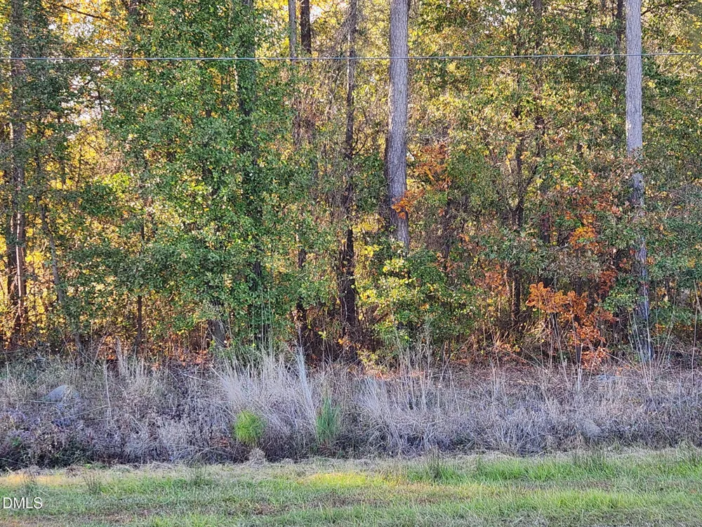 0 Cedar Grove Church Road St. Pauls, NC 28384