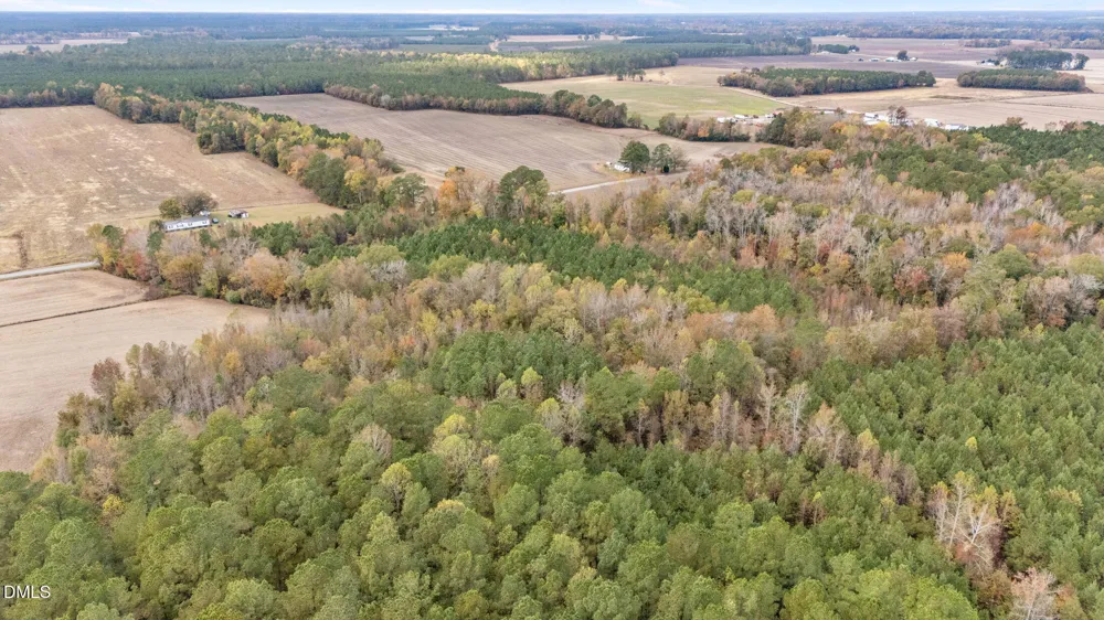 0 Sheppard Mill Road Stokes, NC 27884